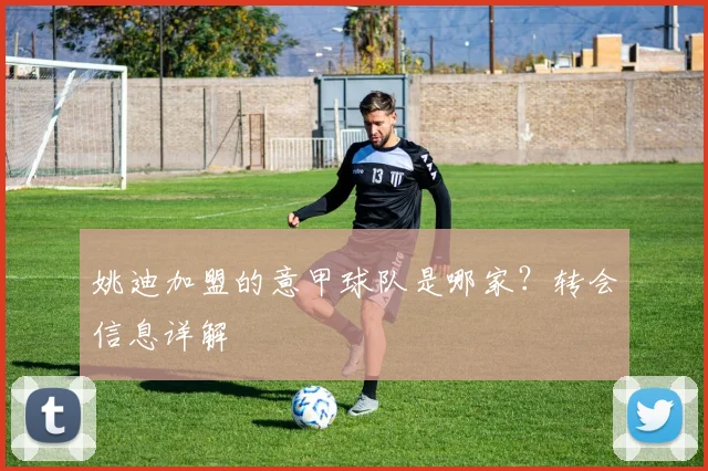 姚迪加盟的意甲球队是哪家？转会信息详解