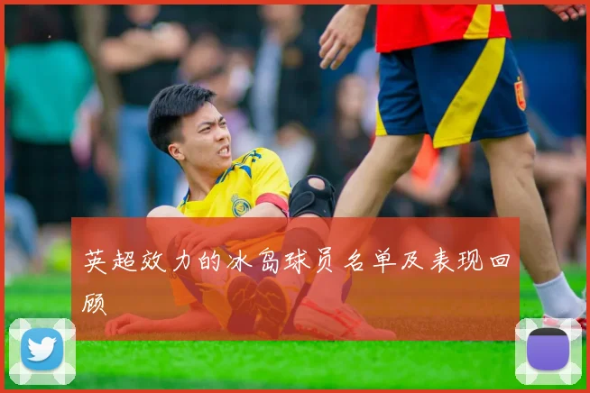 英超效力的冰岛球员名单及表现回顾