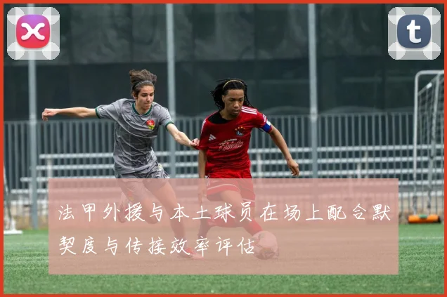 法甲外援与本土球员在场上配合默契度与传接效率评估