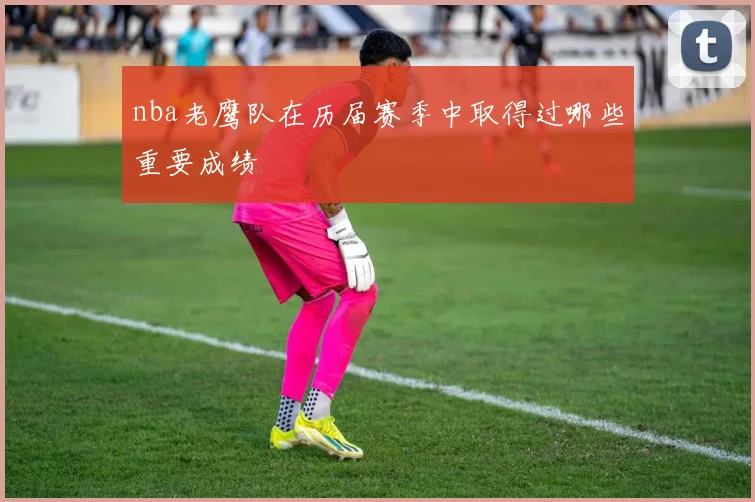 nba老鹰队在历届赛季中取得过哪些重要成绩