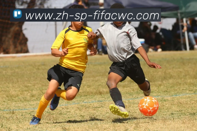 世界杯在线观看APP 高清赛事图